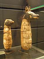 Momies de chiens (musee du Louvre).jpg