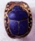 Bague scarabee.gif